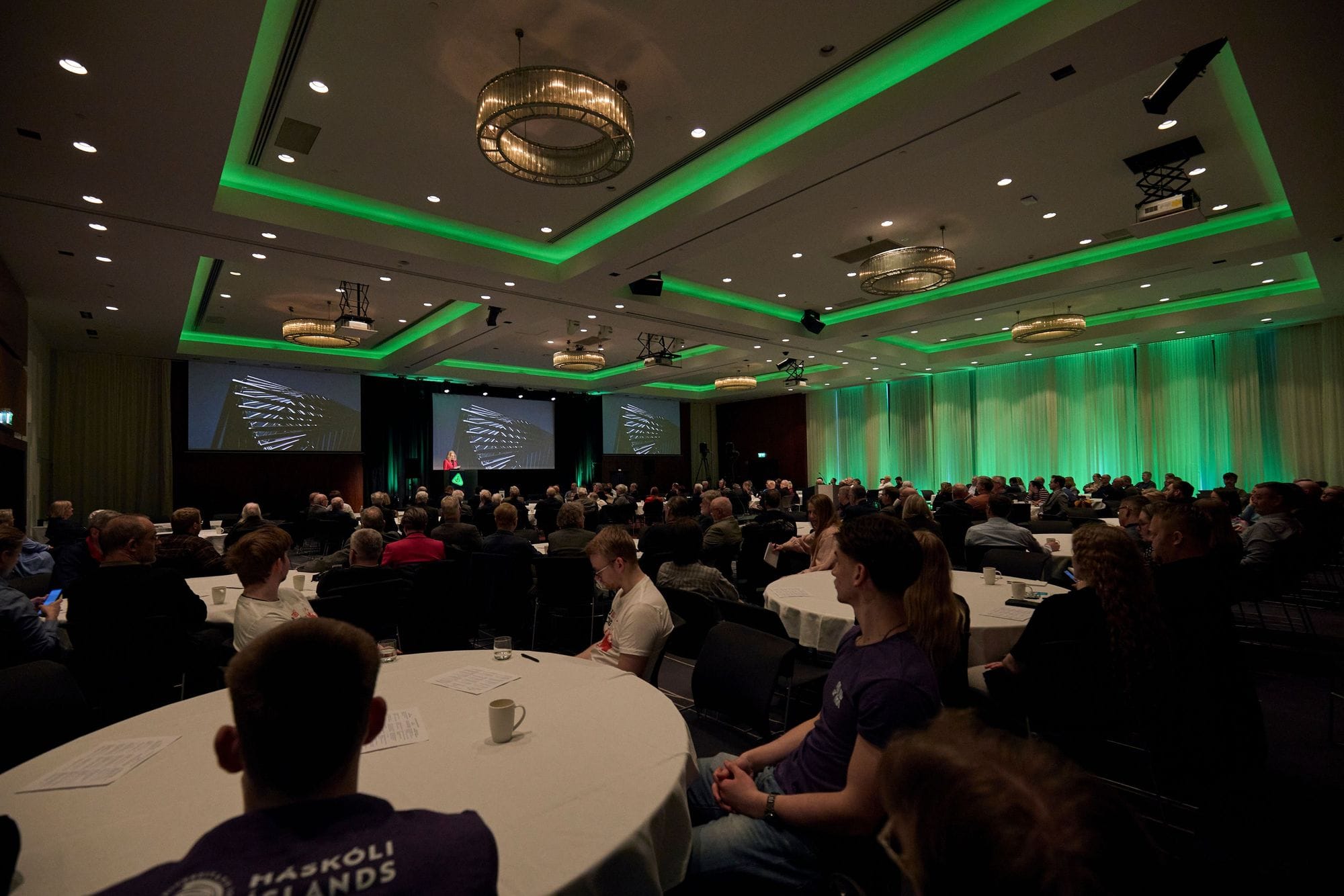 Dagur verkfræðinnar 2025 mynd yfir salinn