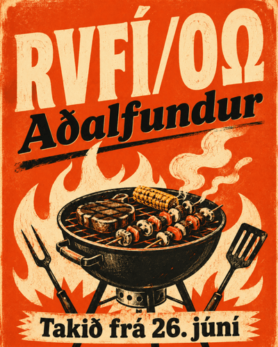 Aðalfundur RVFÍ mynd af grilli.