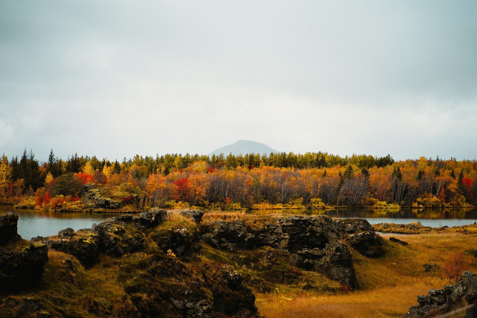 Haustlitir og fjall í fjarska.