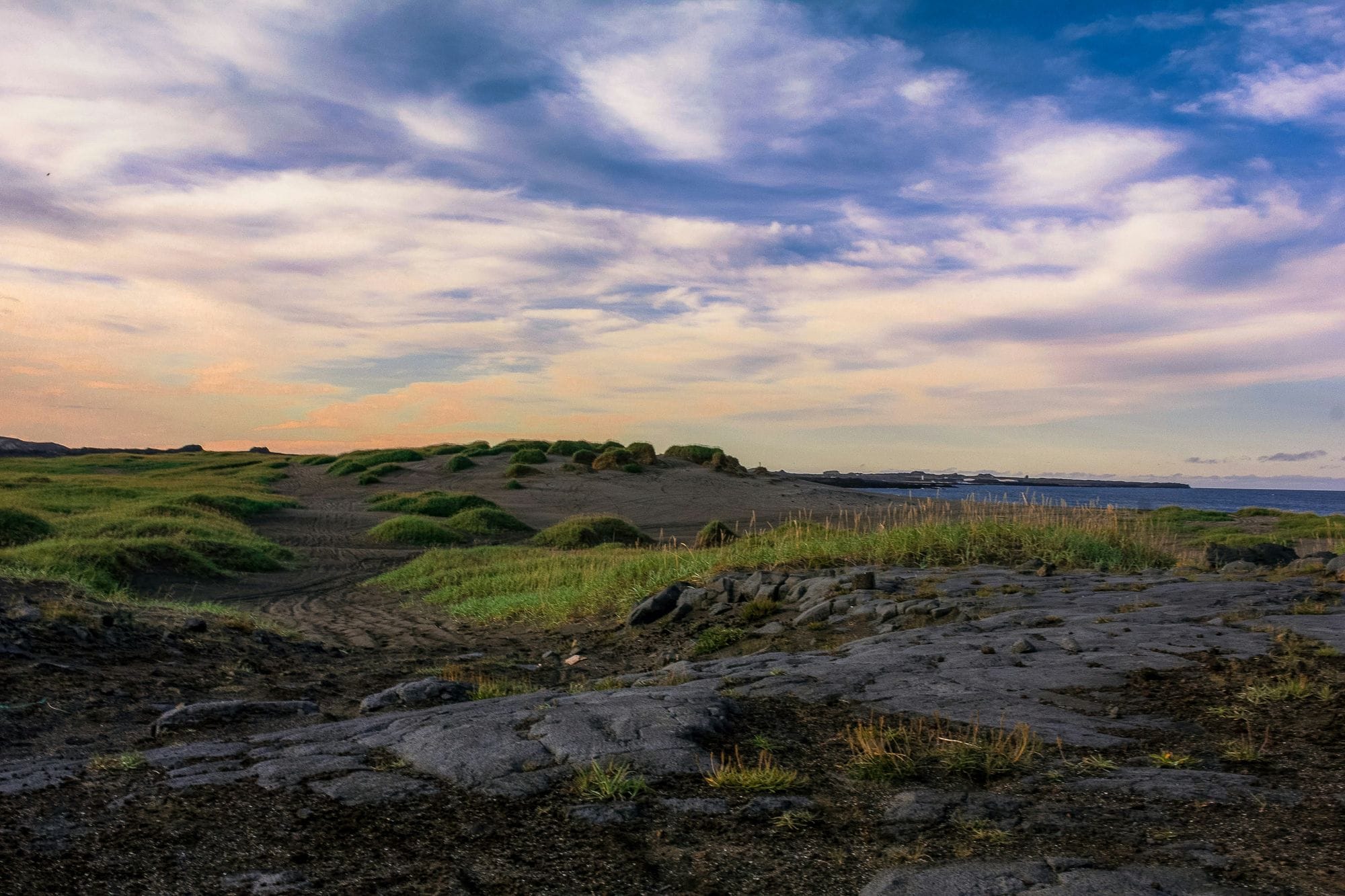 Íslensk fjara gróður og sólarlag.