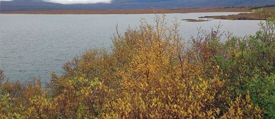 thingvellir